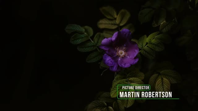 15 Modern Lower Thirds: After Effects Templates