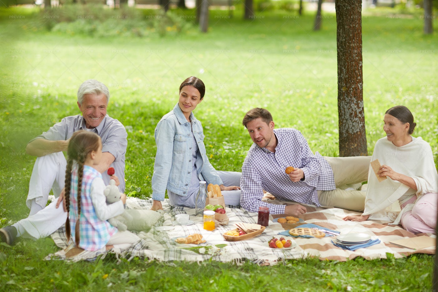 Picnic with Family topic