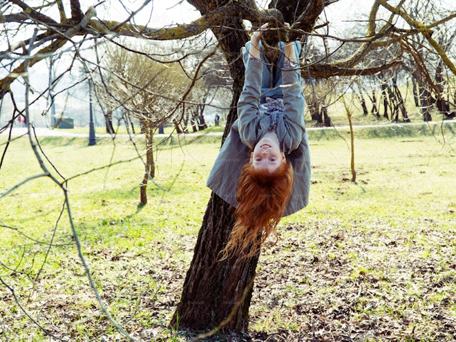 2,500+ Hanging Upside Down Tree Stock Photos, Pictures & Royalty-Free  Images - iStock