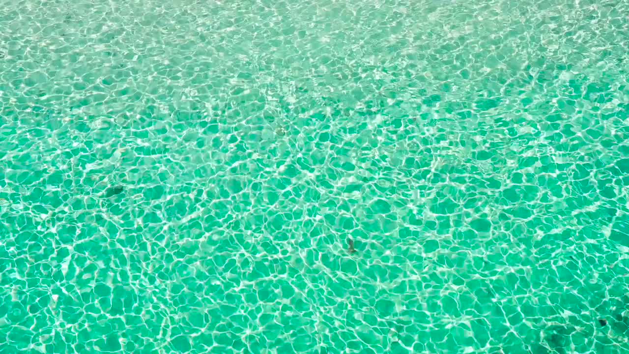 Turquoise Seawater Background - Stock Video | Motion Array