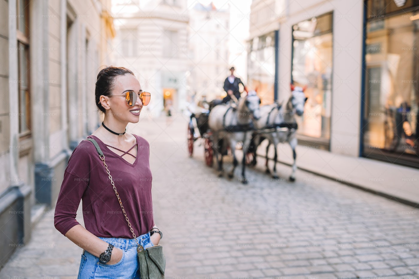 Horse Drawn Carriage On Vienna Street: Stock Photos