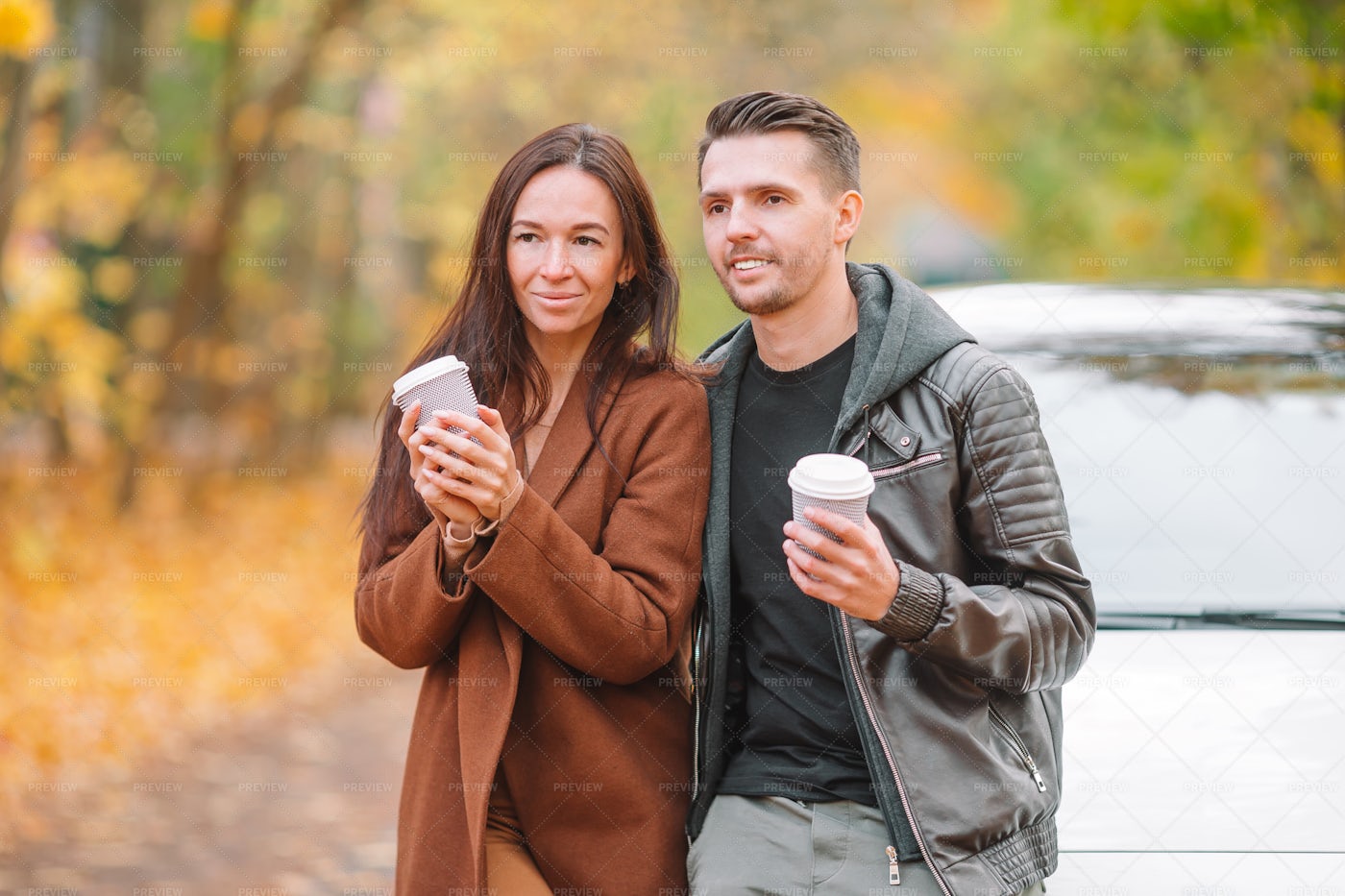 Watching The Leaves Turn: Stock Photos