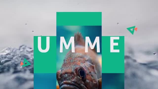 Summer Dynamic Opener: After Effects Templates
