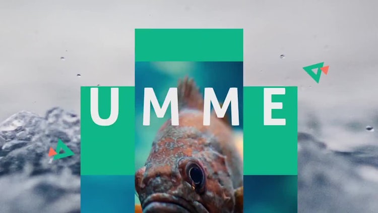Summer Dynamic Opener: After Effects Templates