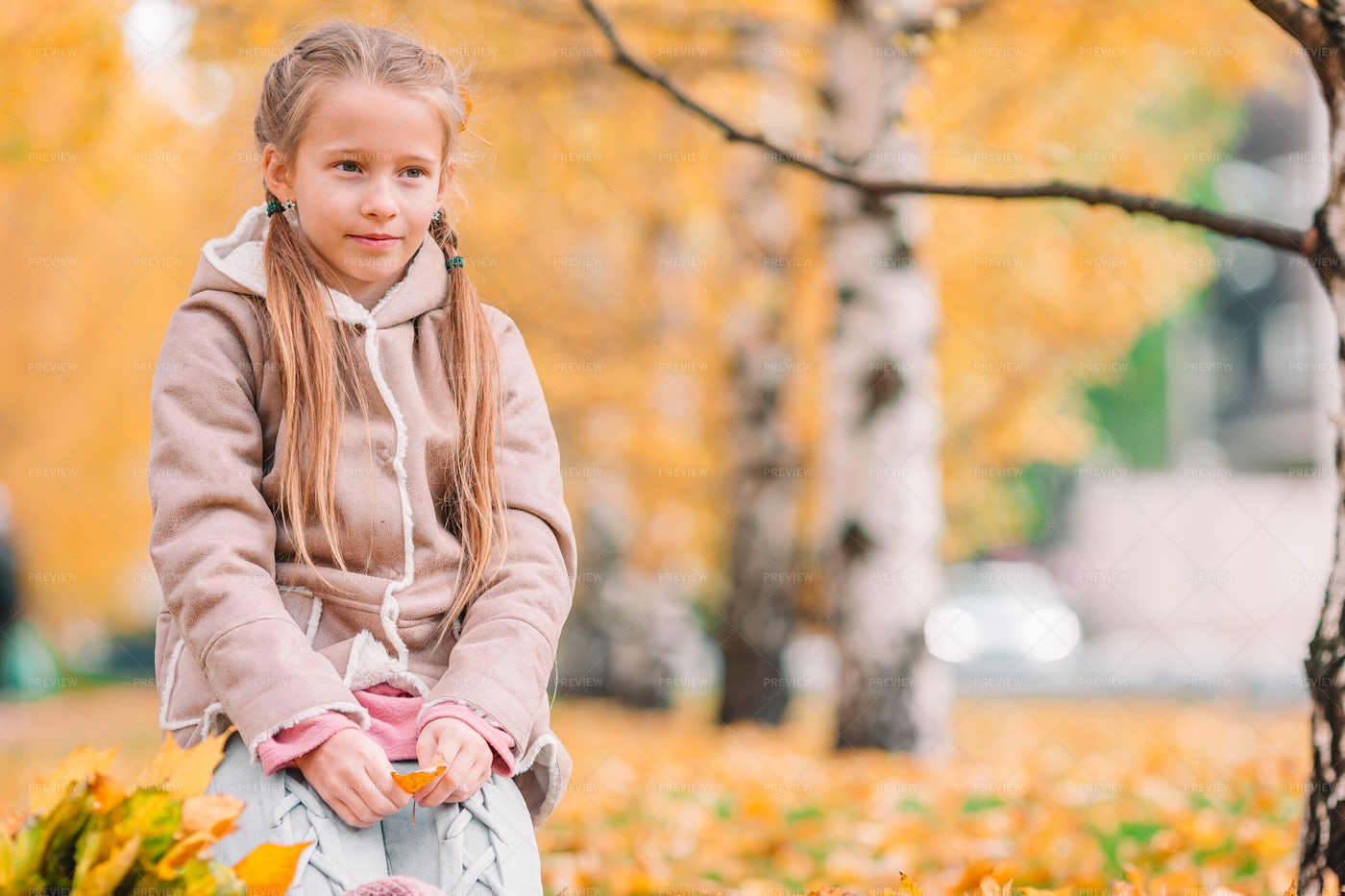 Litttle Girl In An Autumn Park: Stock Photos