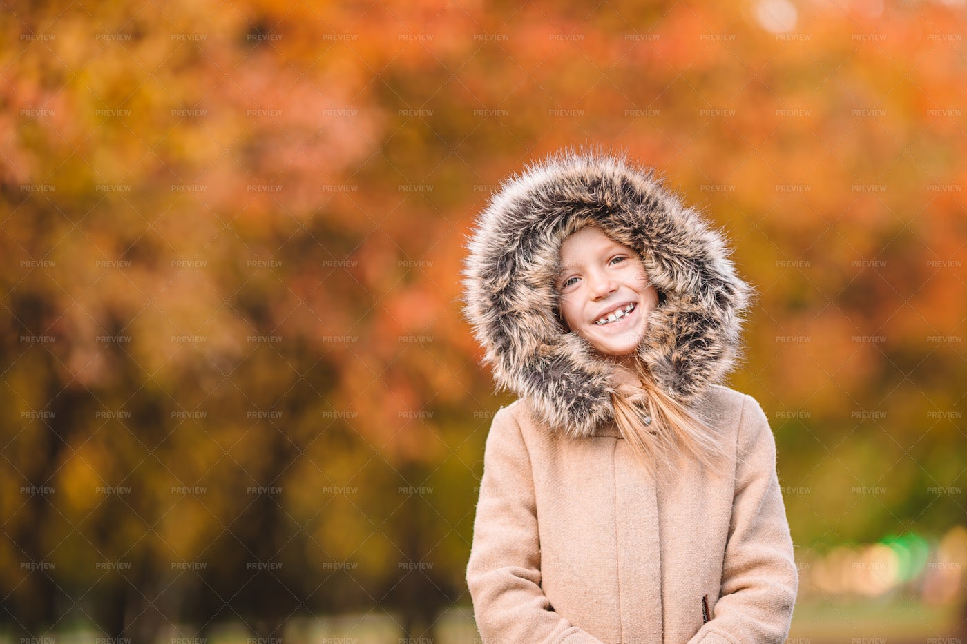 Girl In Autumn Forest: Stock Photos