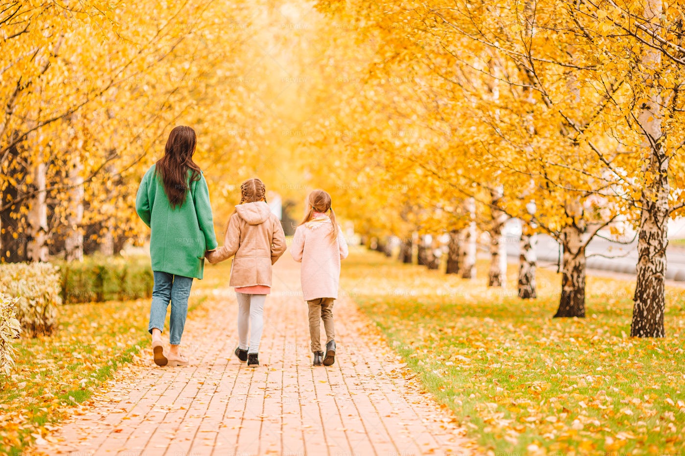 Walking Through Park With Mom: Stock Photos