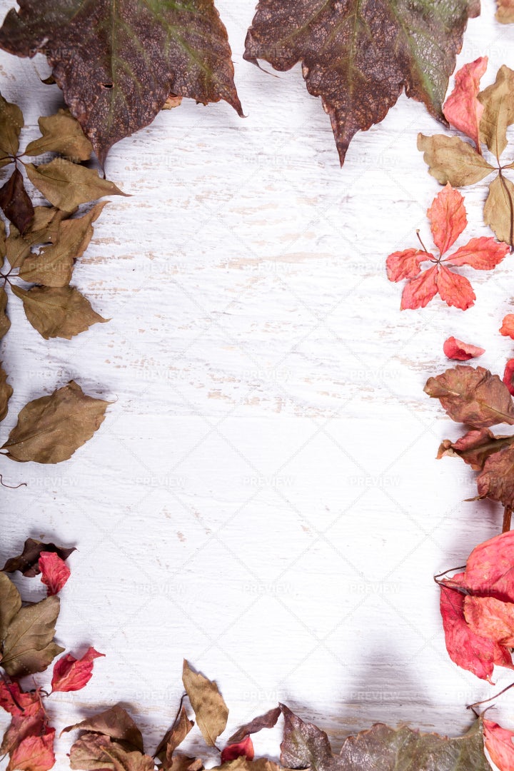 Autumn Frame Background: Stock Photos