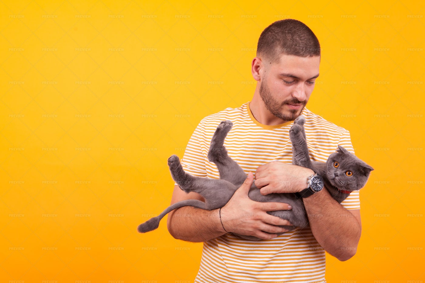 Man Cradling Cat: Stock Photos