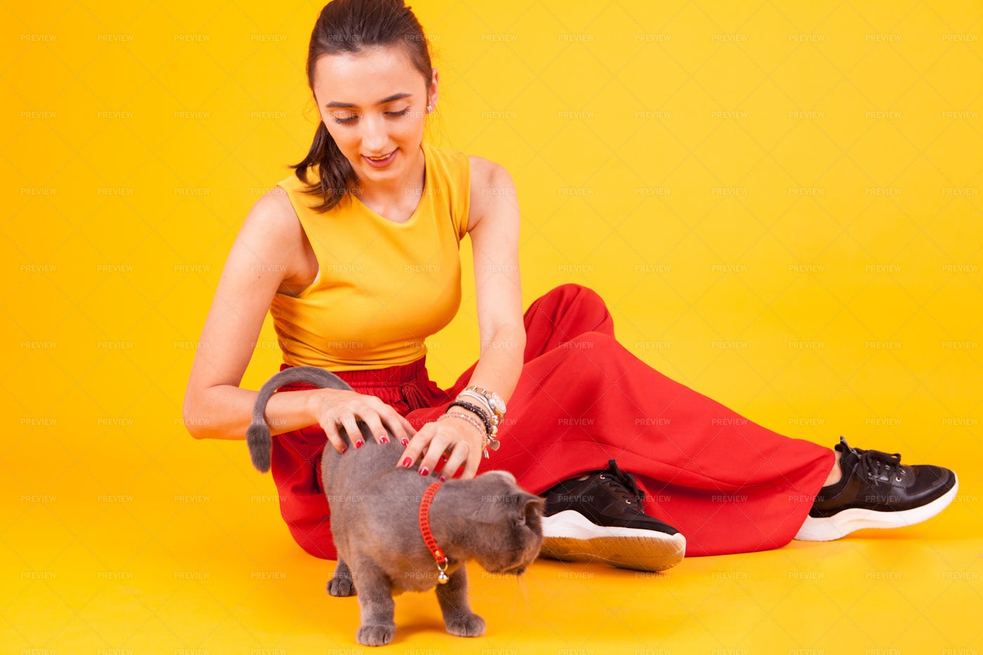 Girl Petting Cat: Stock Photos