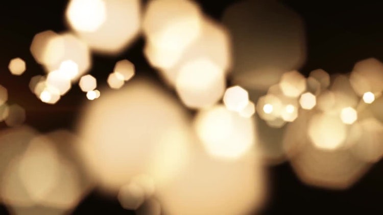 Wedding Particles 02: Stock Motion Graphics