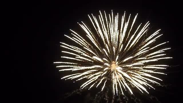 Fireworks: Stock Video