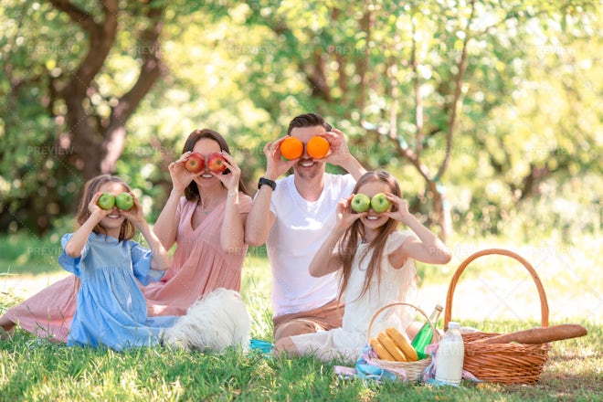 Fruity Picnic Stock Photos Motion Array