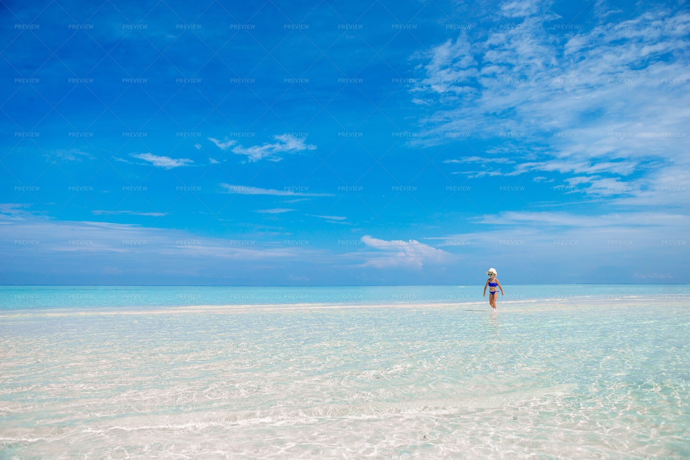 In The Tropical Ocean: Stock Photos