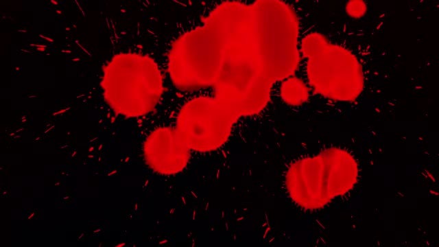 Blood Drops: Stock Video