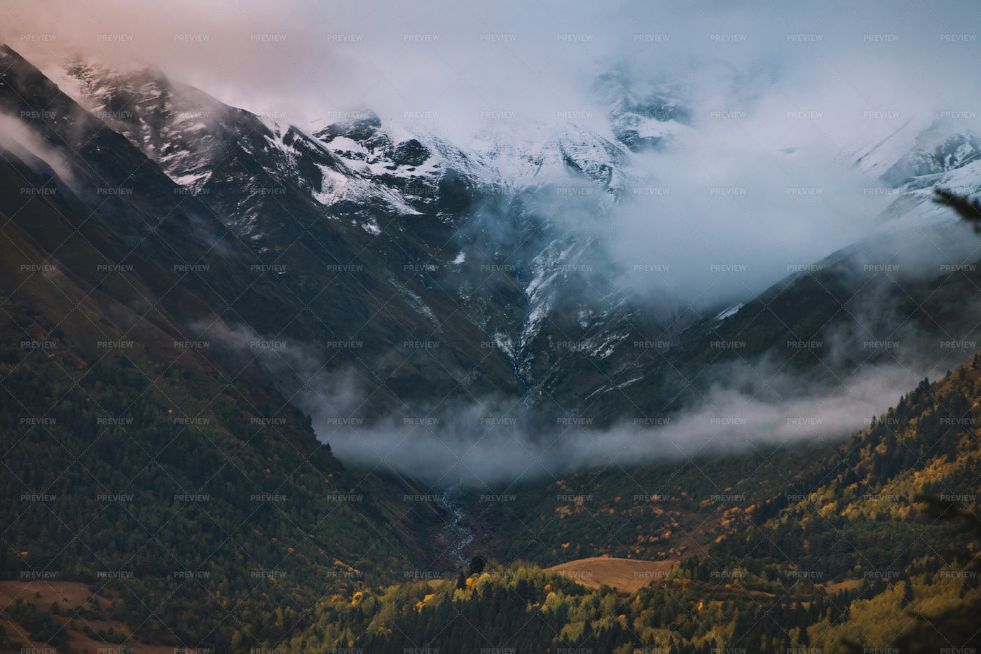 Evening Fog In The Mountains: Stock Photos