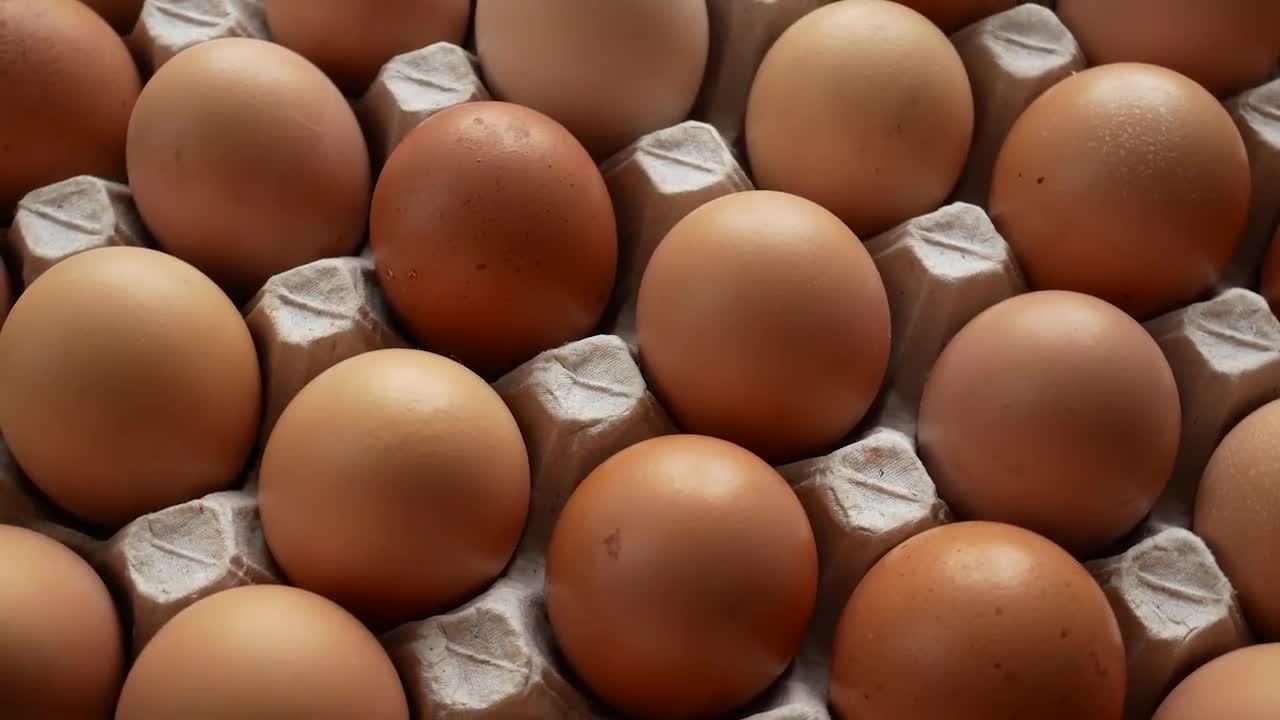 Eggs In A Carton Stock Video Motion Array