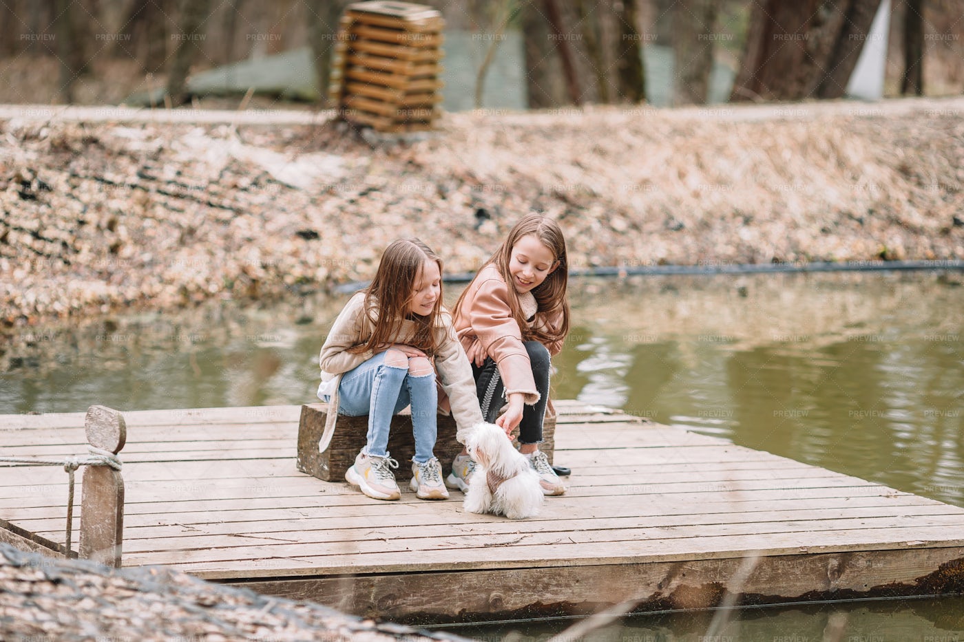 Little Girls With A Puppy.: Stock Photos