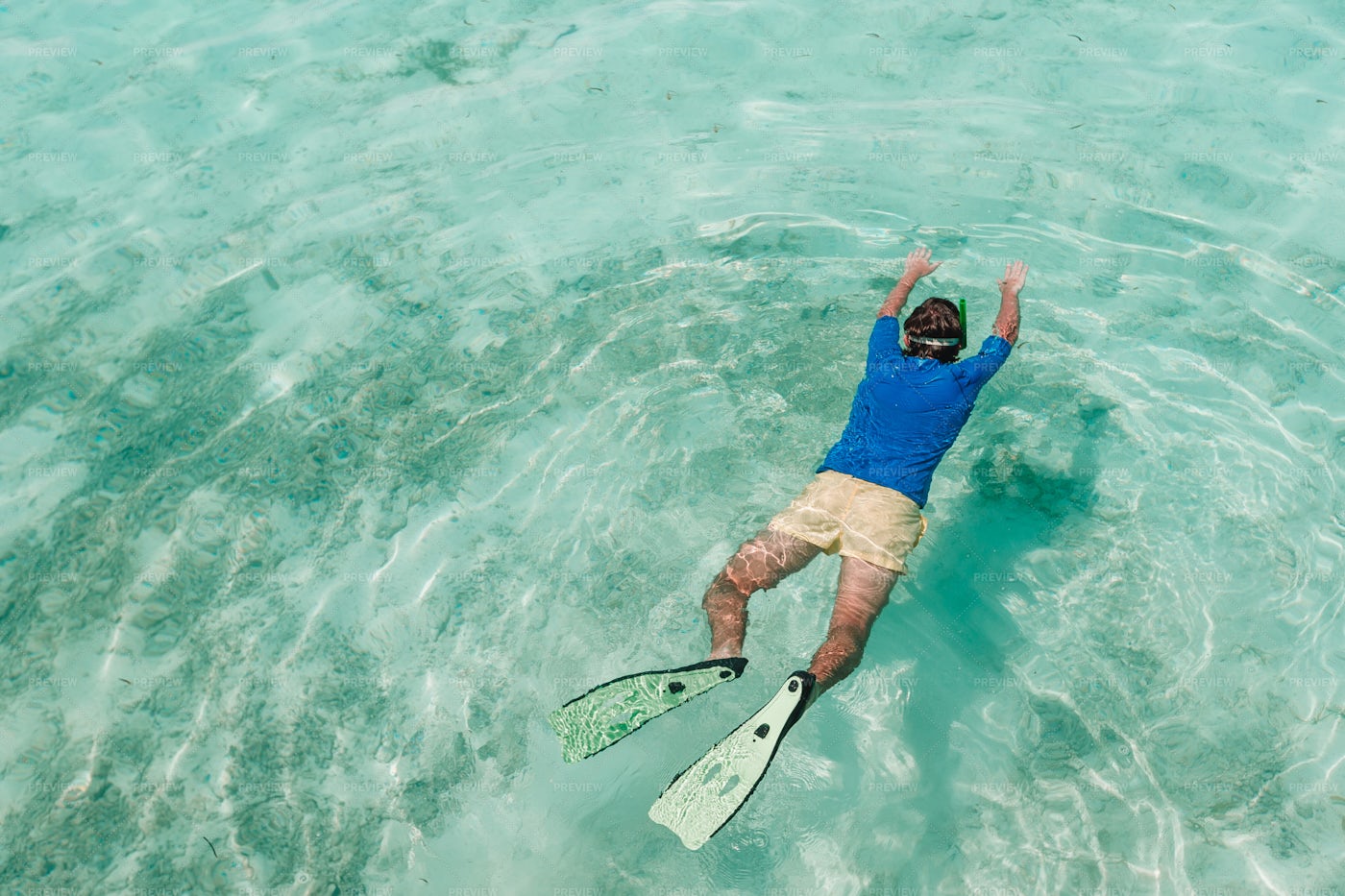 Snorkeling In The Maldives: Stock Photos