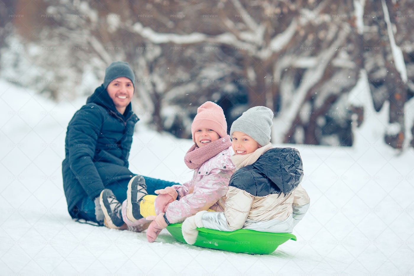 Family Enjoying Snow Day: Stock Photos