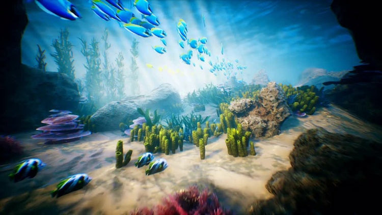Ocean Life: Stock Motion Graphics