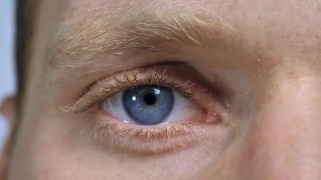 Close-up Shot Of Man's Eye. Man With Blue Eyes. Stock Photo