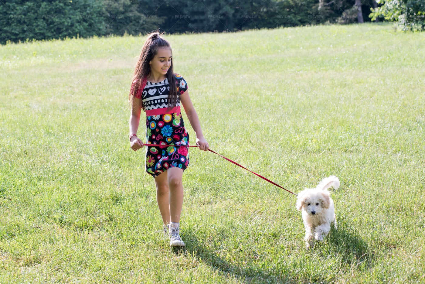 Little Girl Walking Her Dog: Stock Photos