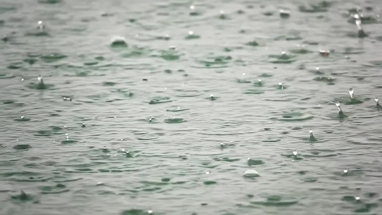 Raindrops Stock Video Motion Array