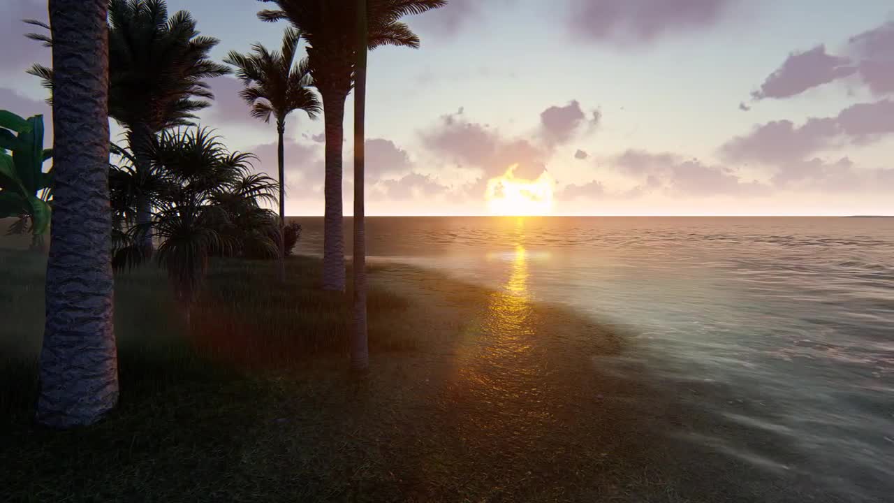 Island And Palm Trees Stock Motion Graphics Motion Array   Preview 433743 FO1EeZPsWv High 0005 