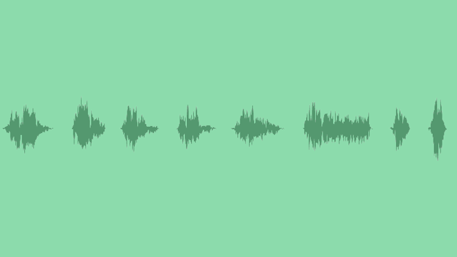 Cat SFX Pack: Sound Effects