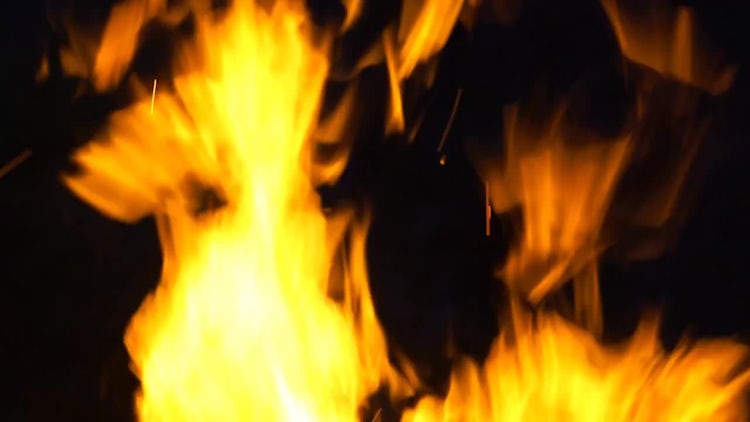 Burning Fire: Stock Video