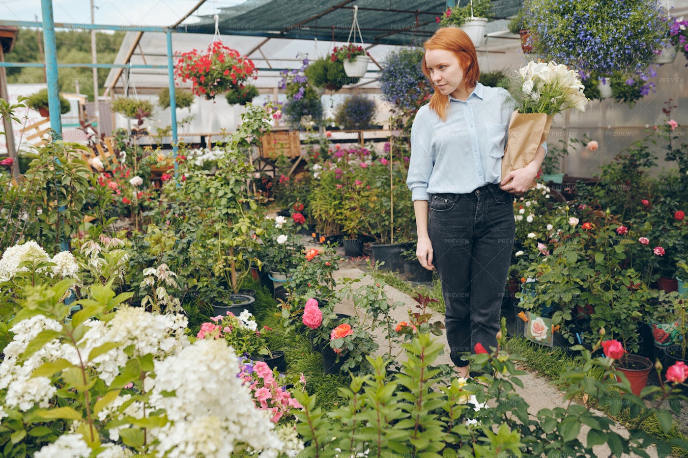 Redhead Girl Choosing Flowers In...: Stock Photos