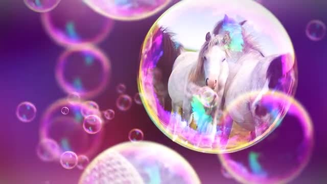 Bubbles Slideshow: After Effects Templates