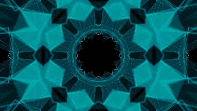Flower Kaleidoscope - Stock Motion Graphics | Motion Array