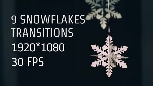 9 Snowflakes Transitions: Stock Motion Graphics