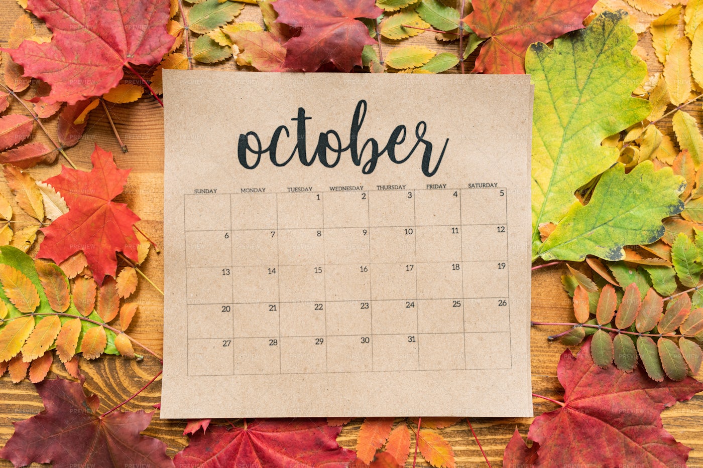 Overview Of October Calendar Sheet... Stock Photos Motion Array