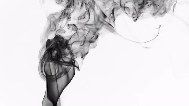 Black Smoke on White Background: Stock Video