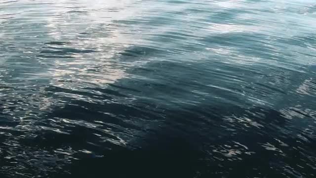 Calm Sea Surface: Stock Video