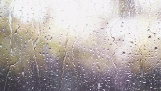 Rain Drops On Glass: Stock Video