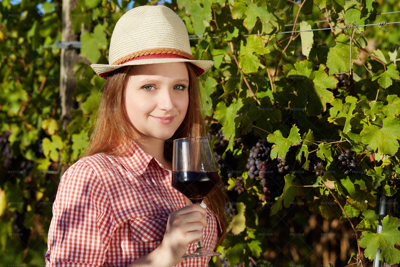 Wine From Vineyard Grapes: Stock Photos