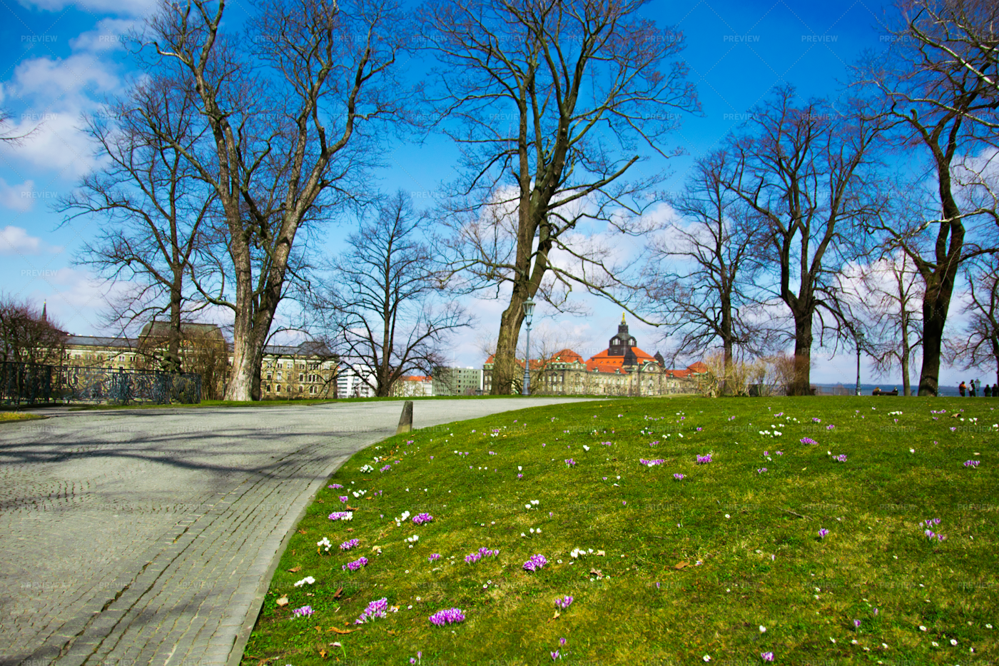 Garden In Drezden: Stock Photos