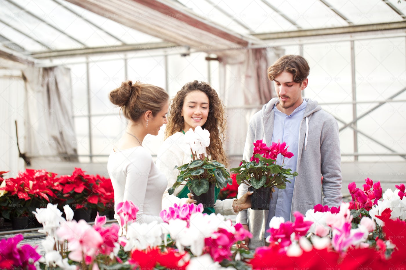 Customers Buying Flowers: Stock Photos