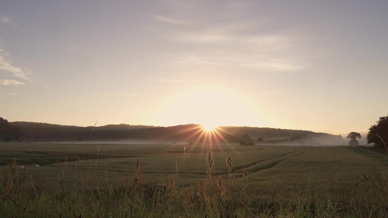 Sun Rising Over Field - Stock Video | Motion Array