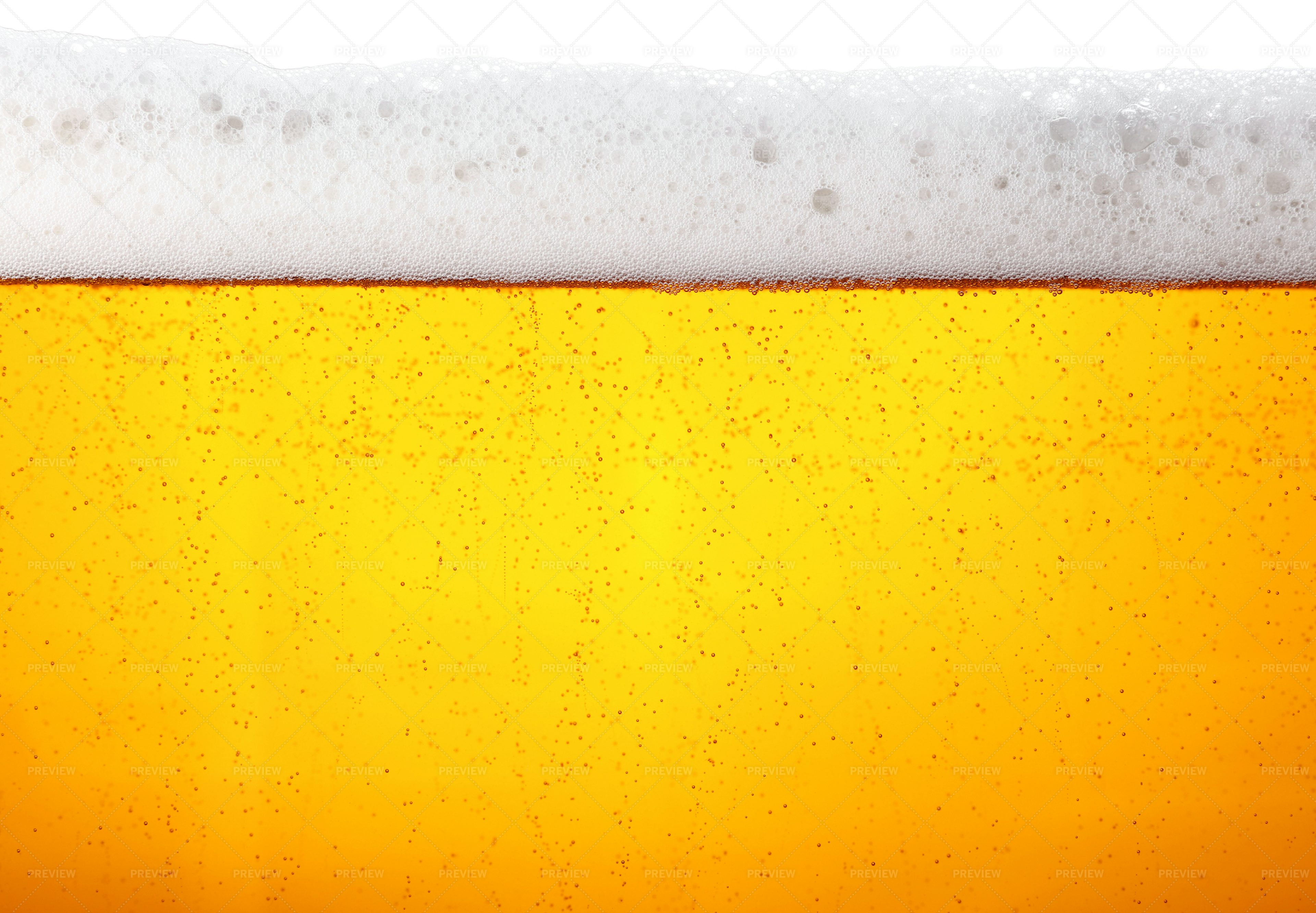 Close Up Of Beer - Stock Photos | Motion Array