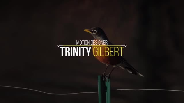 Elegant Lower Thirds: After Effects Templates