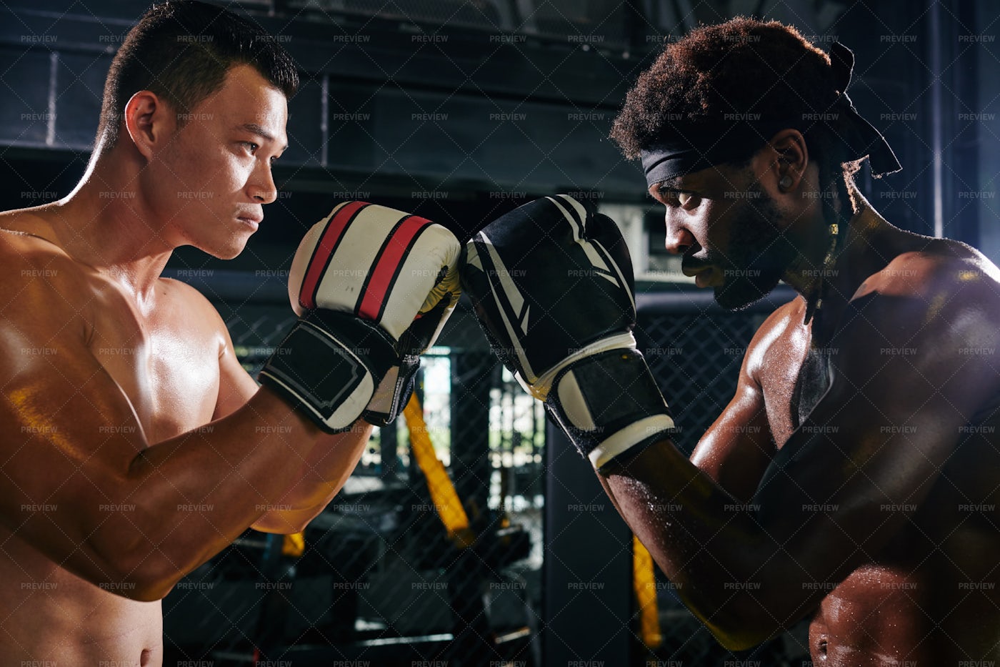 Muay Thai Competition: Stock Photos