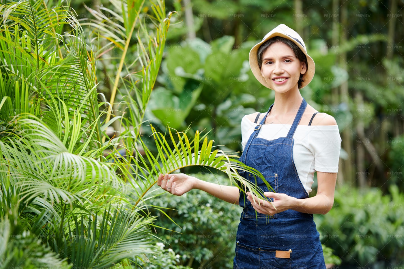 Woman Working In Tropical Garden: Stock Photos