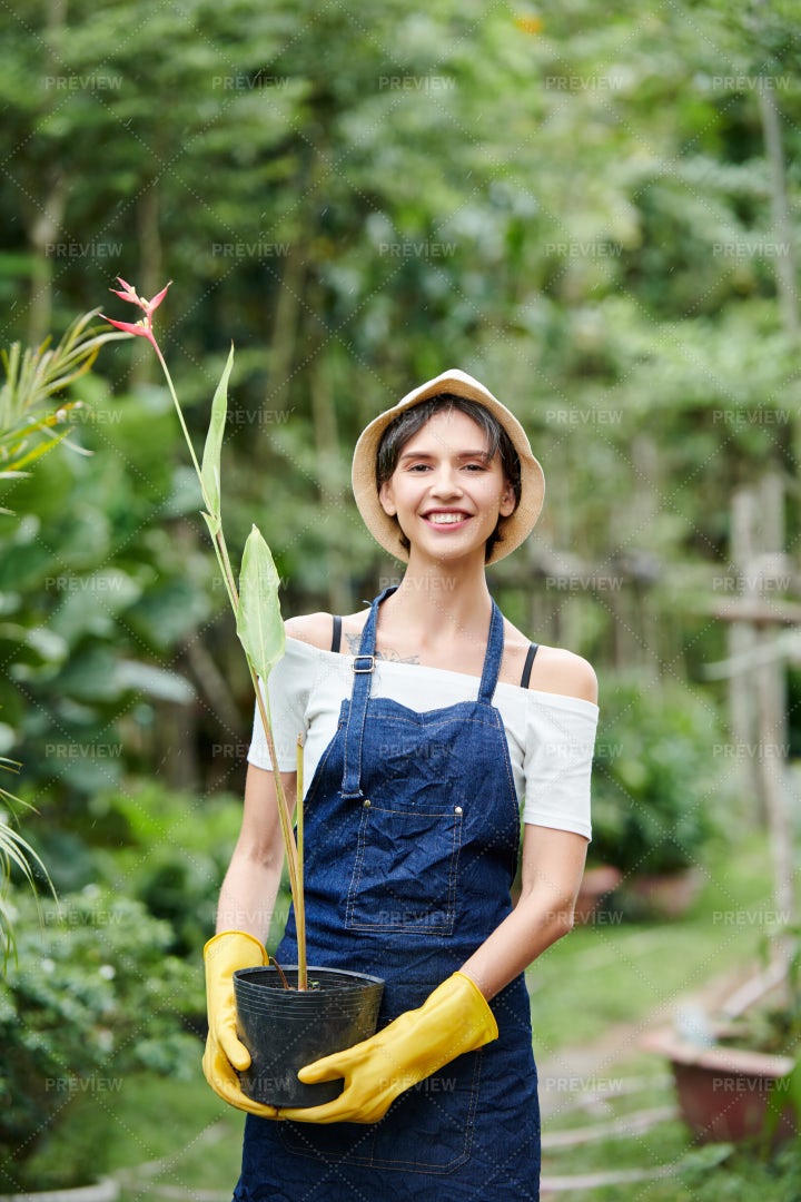 Garden Worker Carrying Flower Pot: Stock Photos
