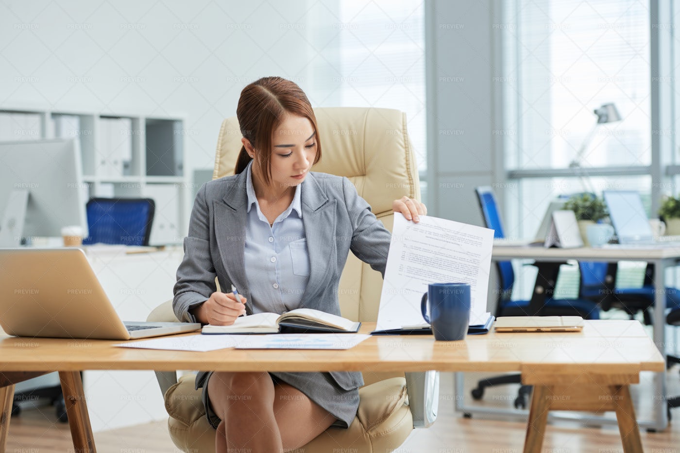 Young Businesswoman Working At Office: Stock Photos