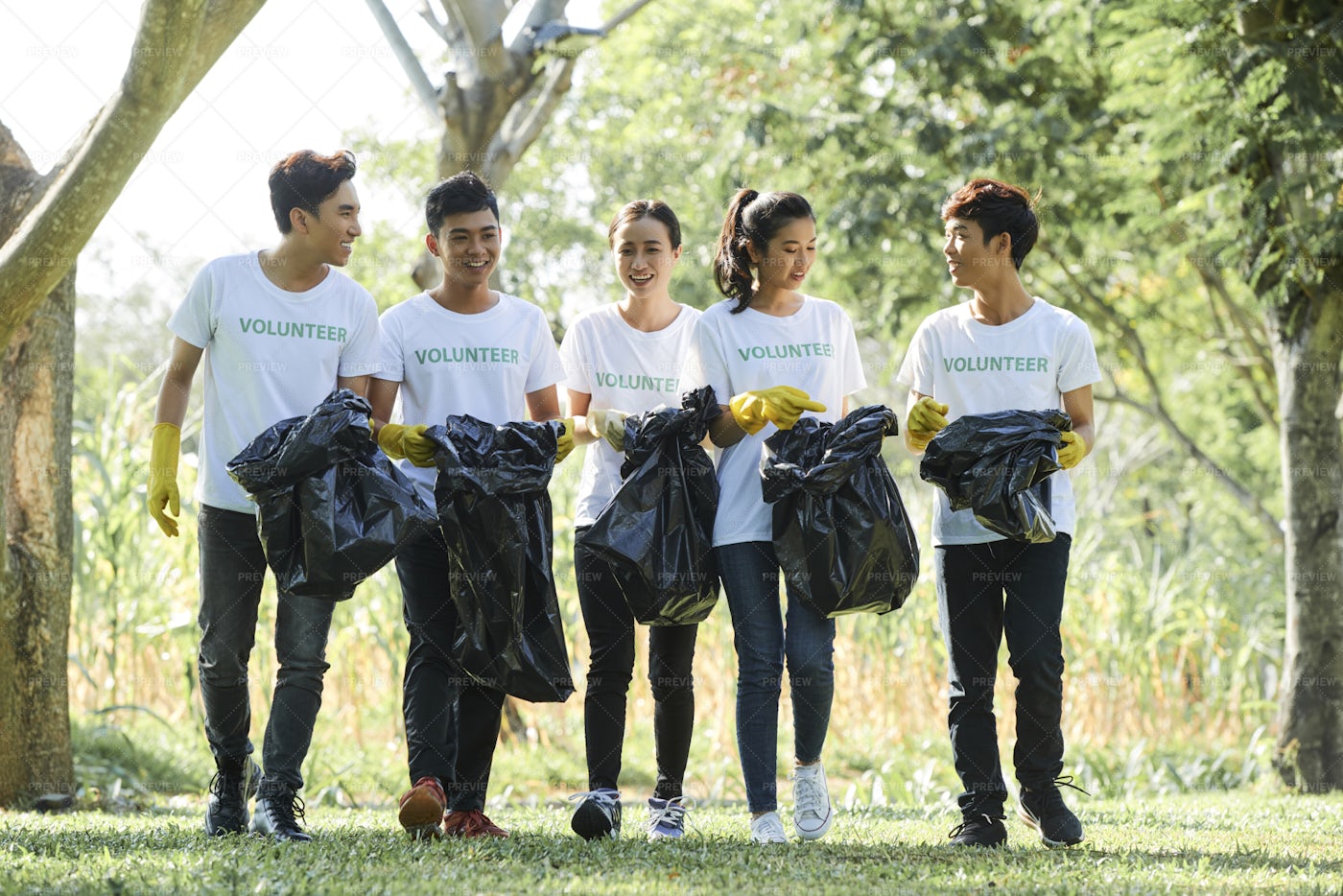 Volunteers Cleaning The Park: Stock Photos
